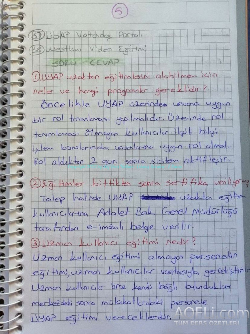 37.jpg