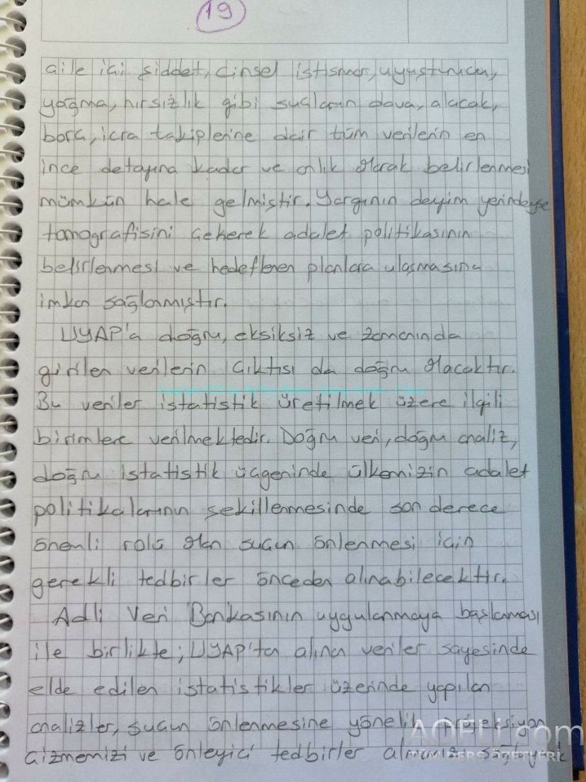 51.jpg