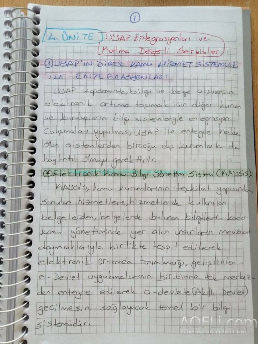 53.jpg