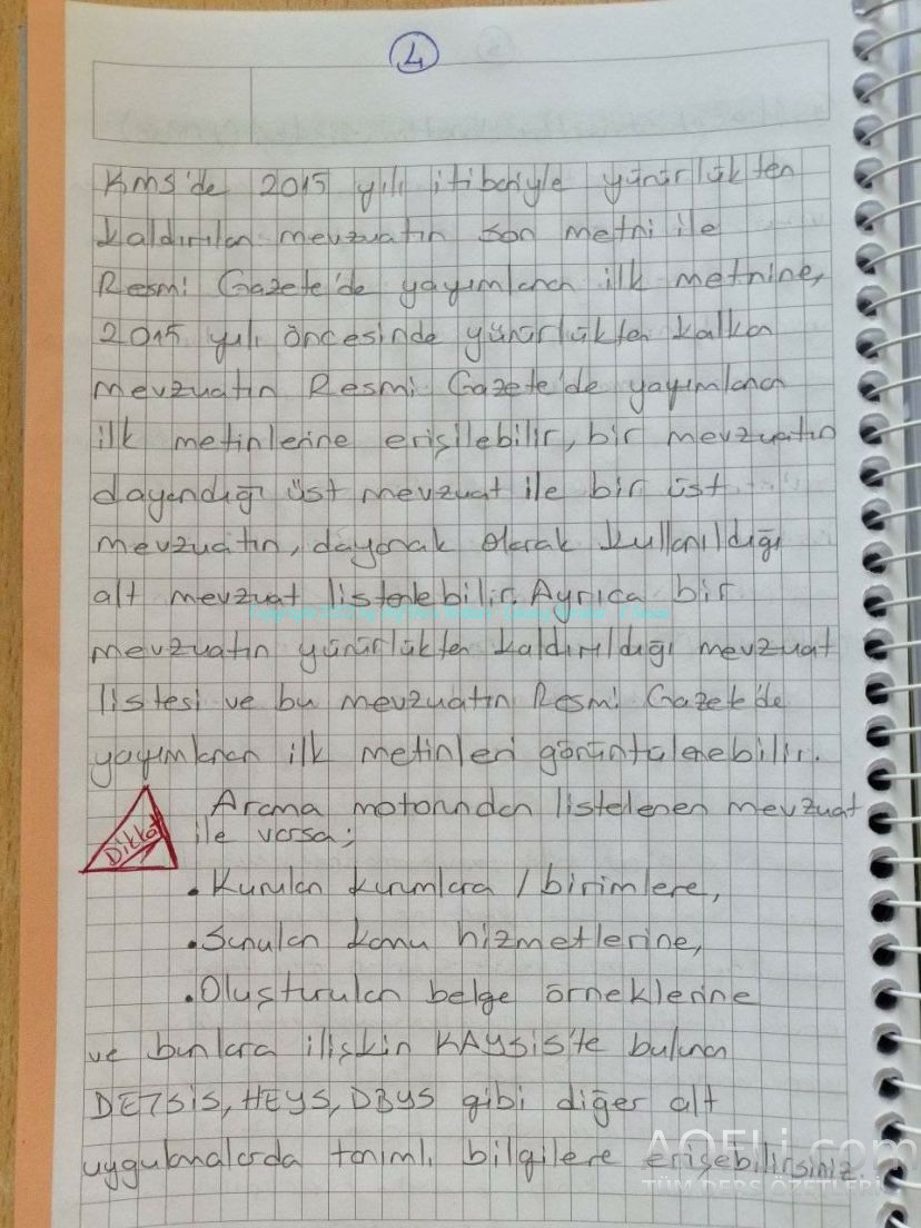 56.jpg