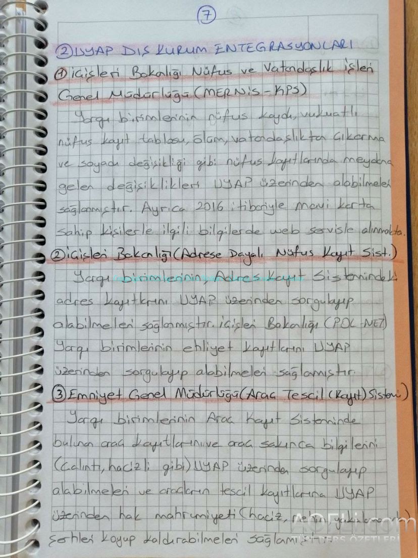 59.jpg
