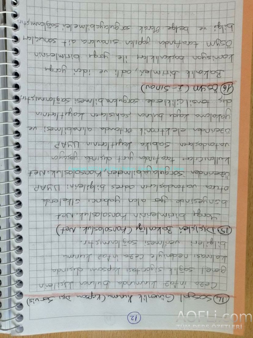 64.jpg