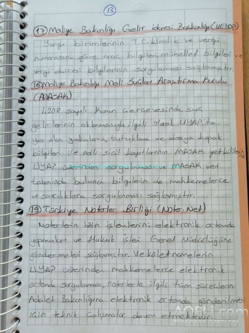 65.jpg