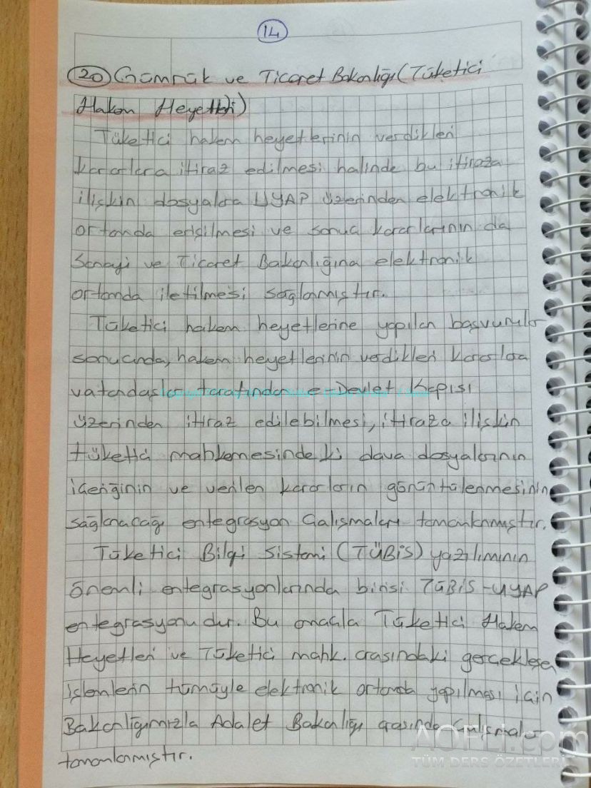 66.jpg