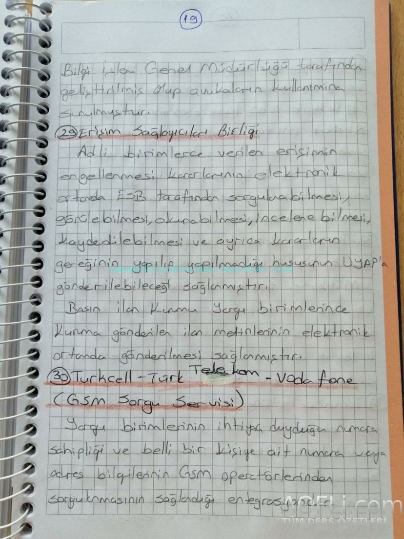 71.jpg