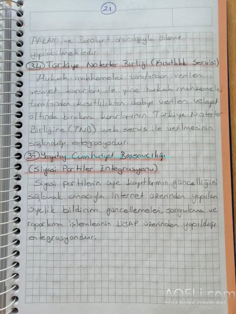 73.jpg