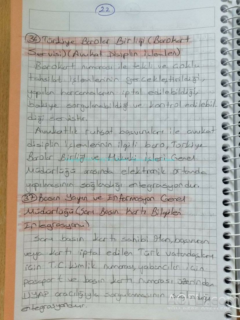 74.jpg