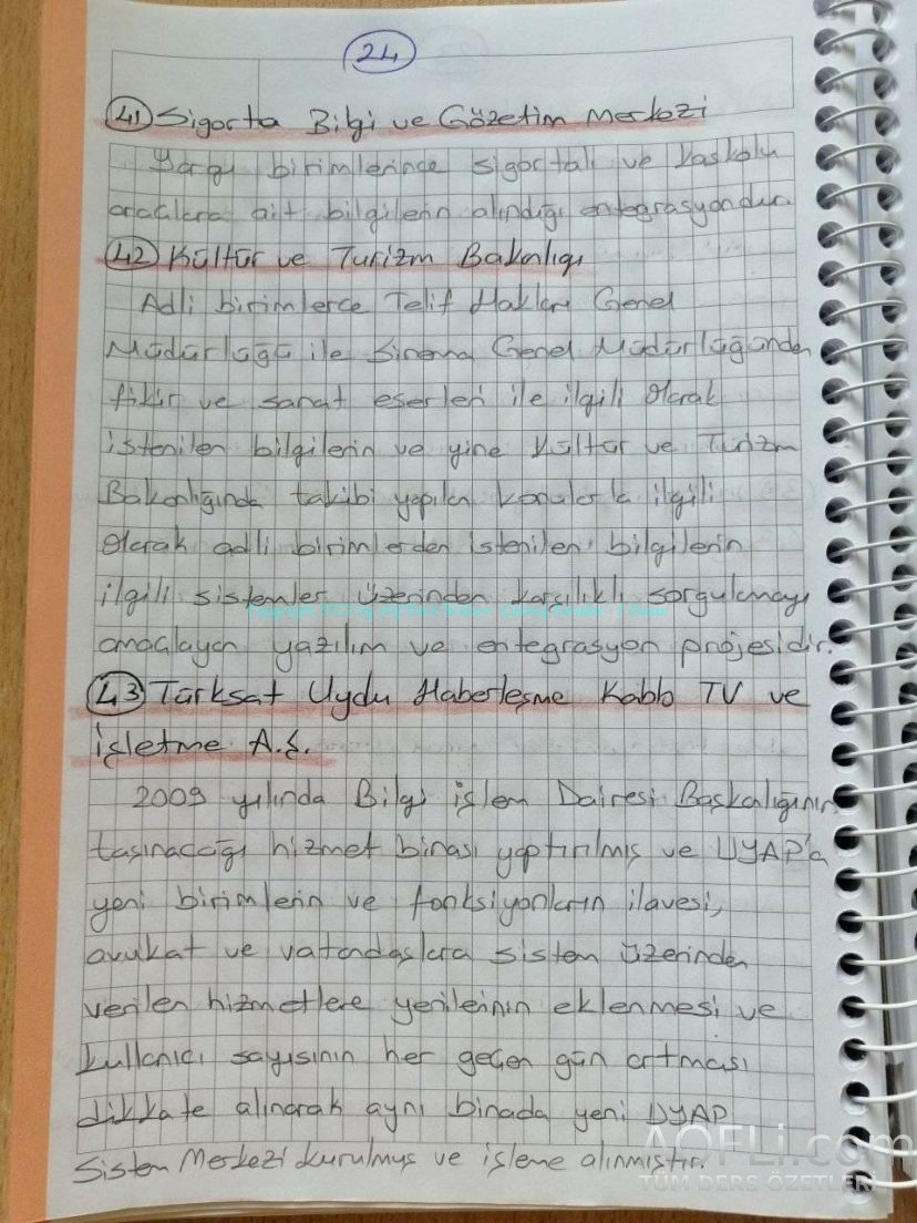 76.jpg