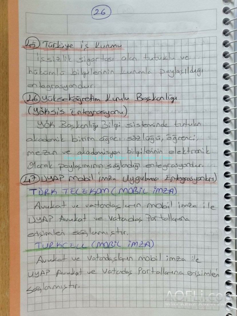 78.jpg