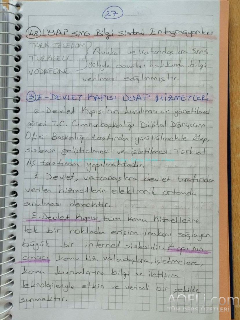 79.jpg
