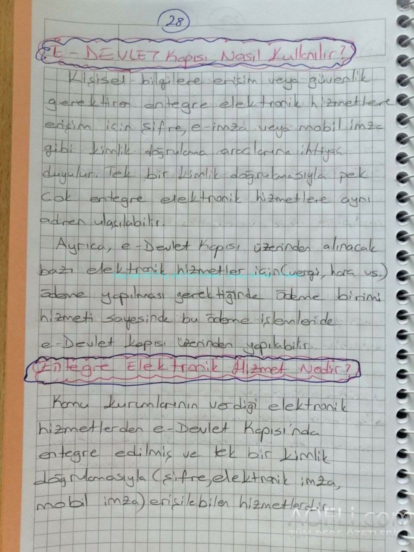 80.jpg