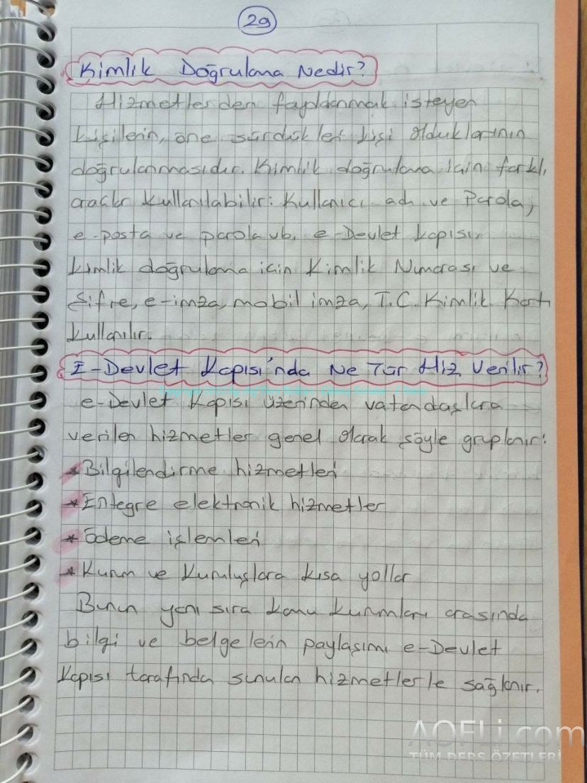81.jpg