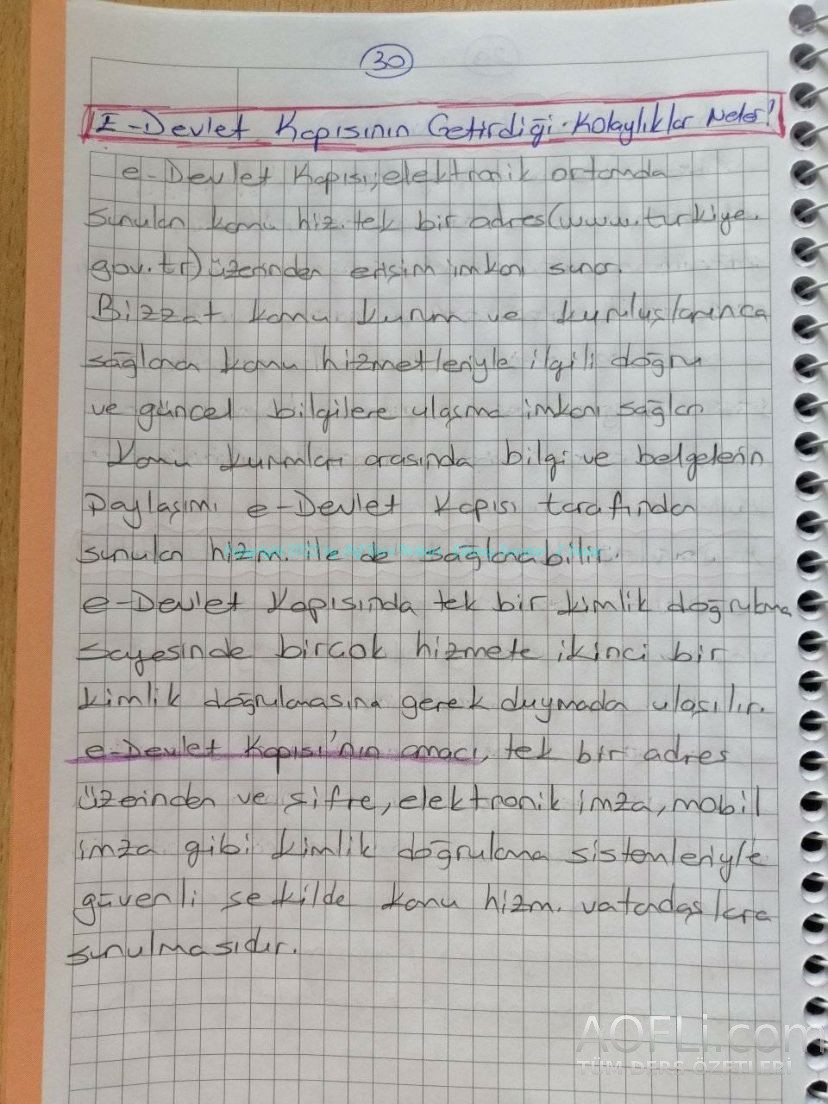 82.jpg
