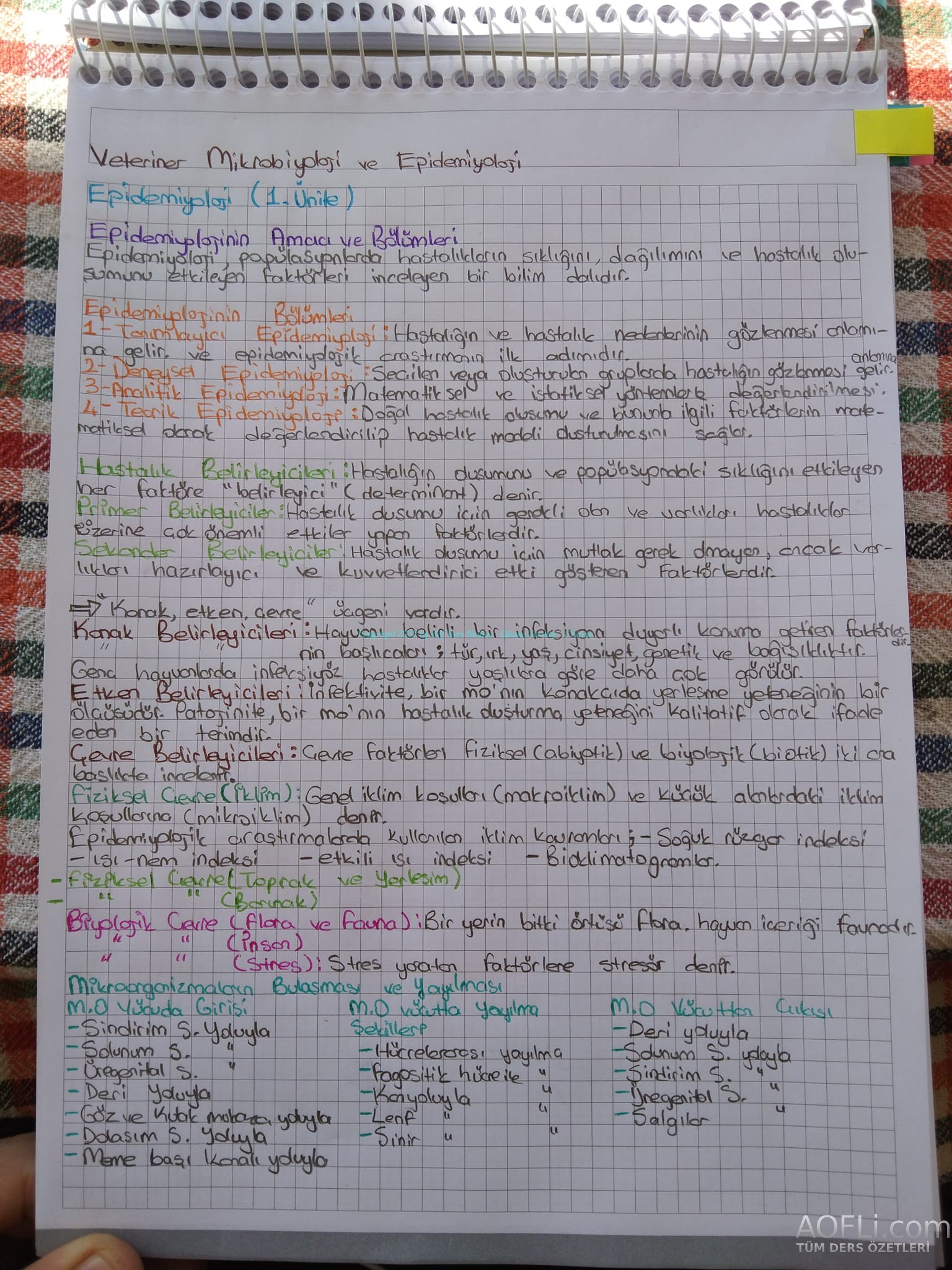 b1.jpg