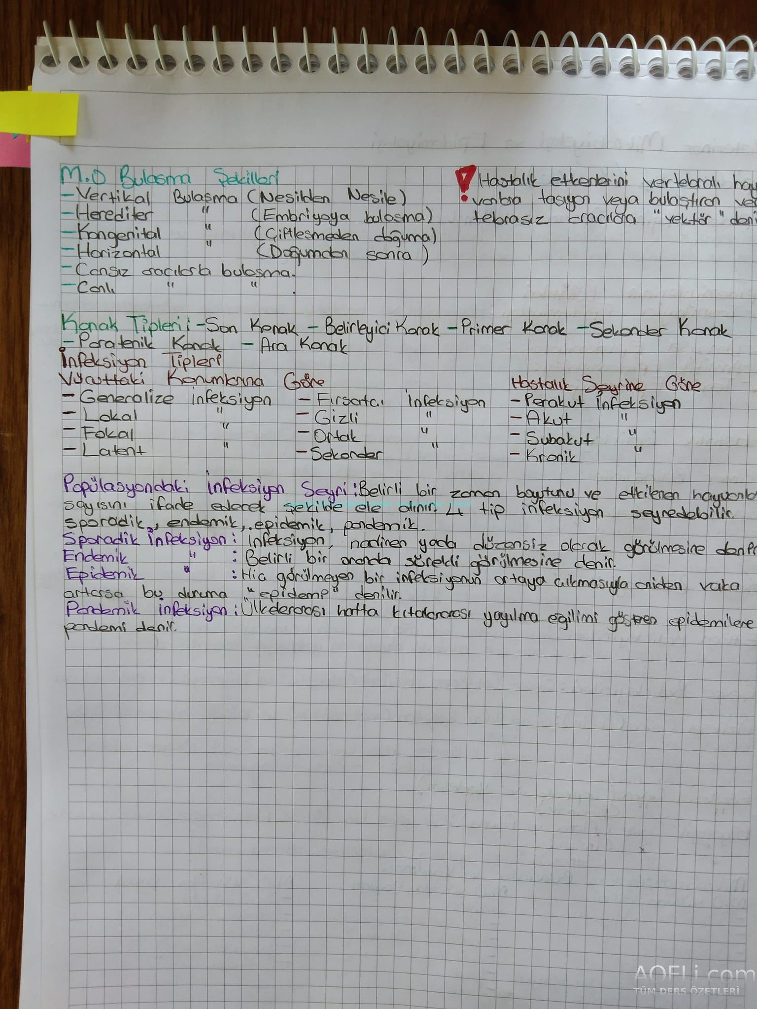 b2.jpg