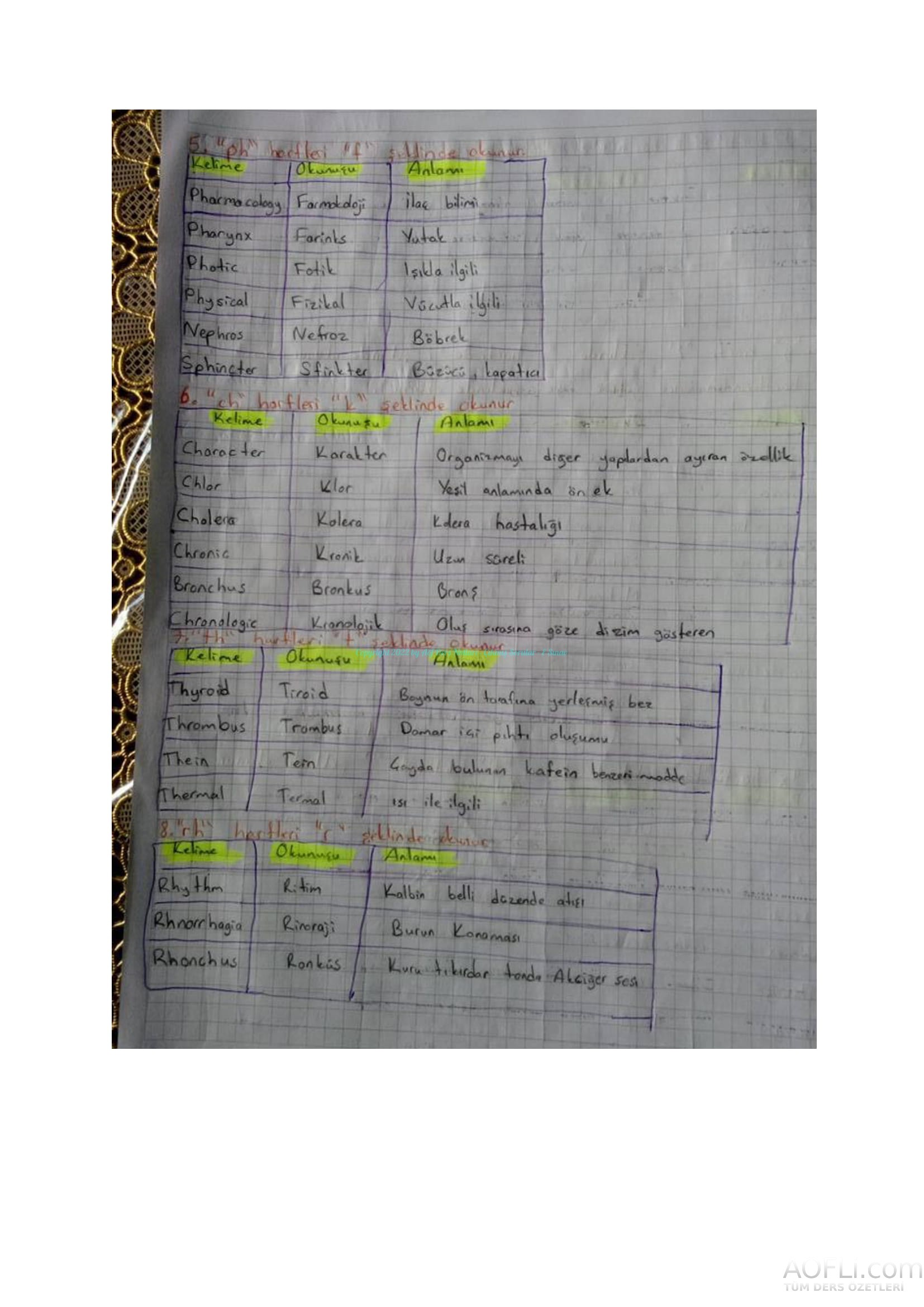 Tıp Terimleri El Notu-04.jpg