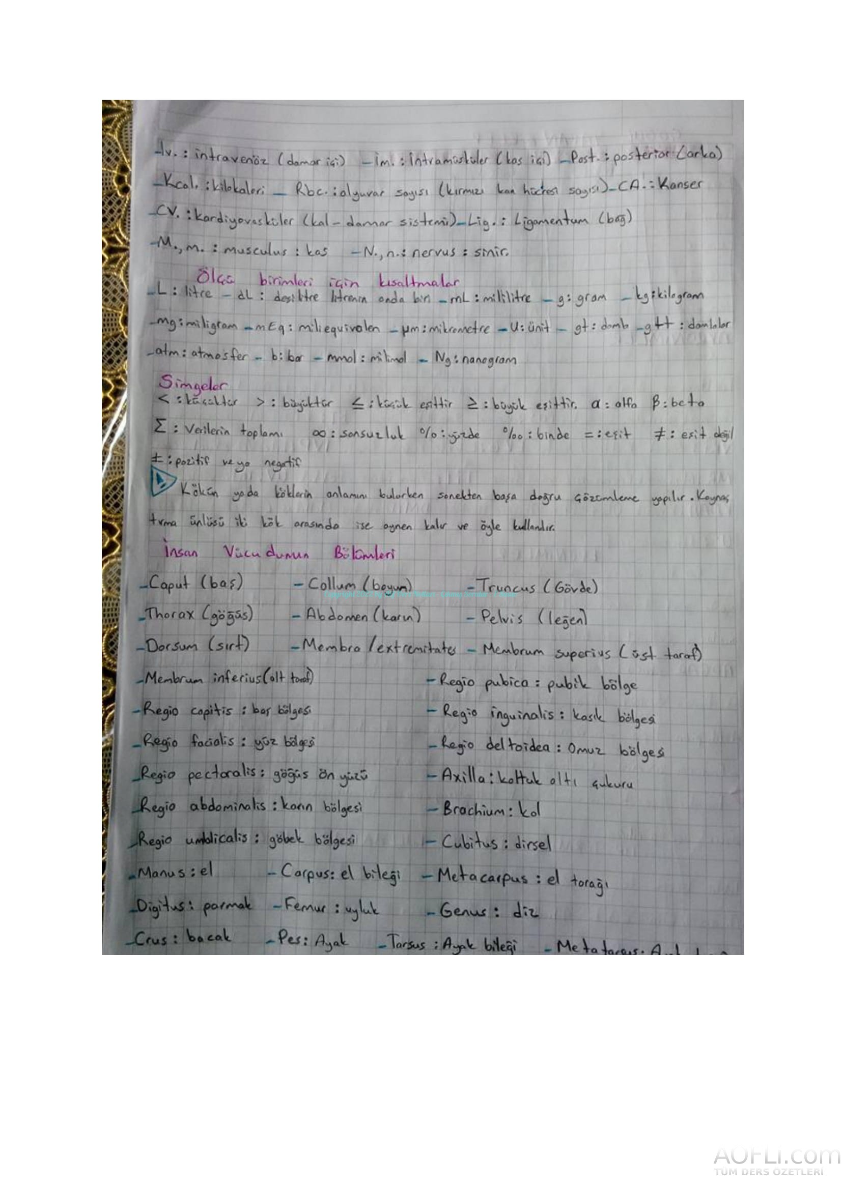 Tıp Terimleri El Notu-12.jpg