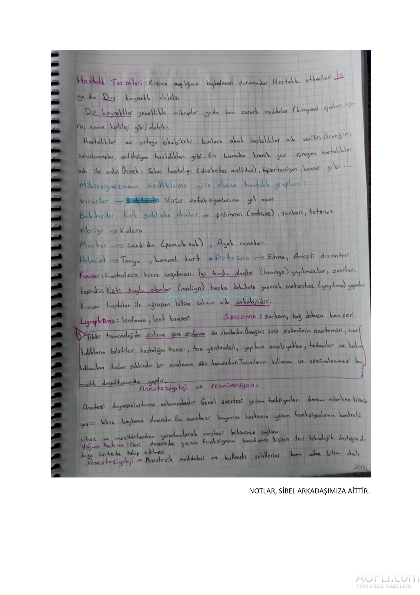 Tıp Terimleri El Notu-13.jpg